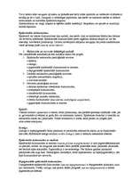 Konspekts 'Ādas audzēji', 2.