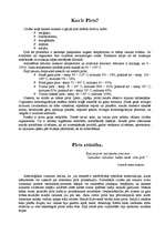 Referāts 'Pirts', 2.