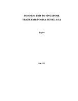 Referāts 'Business Trip to Singapore', 1.