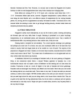 Referāts 'Business Trip to Singapore', 13.