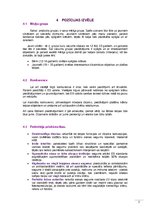 Referāts 'Projektēšanas procesa plānošana', 9.