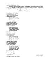 Konspekts 'Latviešu valodas stili', 12.