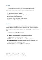 Referāts 'Patstāvīgais darbs vizuālās reklāmas pamatos', 24.