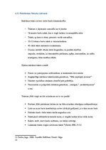 Referāts 'Patstāvīgais darbs vizuālās reklāmas pamatos', 25.