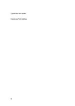 Referāts 'Patstāvīgais darbs vizuālās reklāmas pamatos', 41.