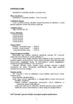 Biznesa plāns 'SIA "Cukuriņš" ', 2.