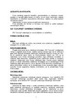 Biznesa plāns 'SIA "Cukuriņš" ', 5.