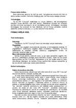 Biznesa plāns 'SIA "Cukuriņš" ', 8.