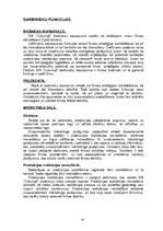 Biznesa plāns 'SIA "Cukuriņš" ', 10.