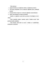 Referāts 'Veģetārs uzturs', 4.