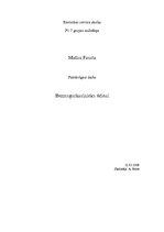 Referāts 'Bezmugurkaulnieku ēdieni', 1.