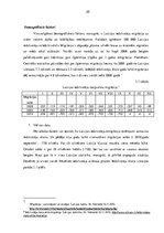 Referāts 'Mārketinga vides analīze un uzņēmuma SIA "LatEl montāža" darbības pilnveide', 25.