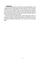 Referāts 'Dzejoļu analīze', 12.