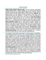 Konspekts 'Kvalifikācijas eksāmena jautājumi un atbildes', 13.