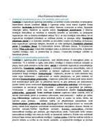 Konspekts 'Kvalifikācijas eksāmena jautājumi un atbildes', 34.