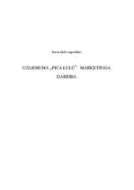 Referāts 'Uzņēmuma "Pica Lulū" mārketinga darbība', 1.