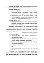 Referāts 'Uzņēmuma "Pica Lulū" mārketinga darbība', 5.