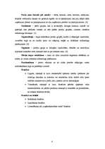 Referāts 'Uzņēmuma "Pica Lulū" mārketinga darbība', 6.