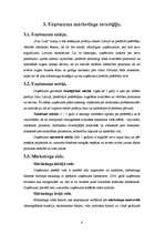 Referāts 'Uzņēmuma "Pica Lulū" mārketinga darbība', 8.