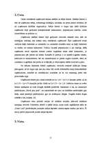 Referāts 'Uzņēmuma "Pica Lulū" mārketinga darbība', 15.