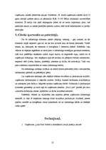 Referāts 'Uzņēmuma "Pica Lulū" mārketinga darbība', 22.