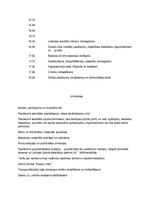 Konspekts 'Liela mēroga pasākuma plāns un organizācija', 5.