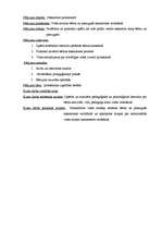 Referāts 'Vides loma bērna un pieaugušā saskarsmes veidošanā', 4.