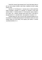 Referāts 'Vides loma bērna un pieaugušā saskarsmes veidošanā', 27.