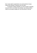 Referāts 'Vides loma bērna un pieaugušā saskarsmes veidošanā', 41.