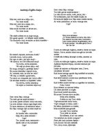 Eseja 'Andreja Eglīša un Veronikas Strēlertes dzeja', 6.