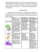 Referāts 'Grūtnieces higiēna', 17.