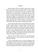 Prakses atskaite 'Grāmatvedības finanšu pārskatu standartu pielietojums', 2.