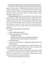 Prakses atskaite 'Grāmatvedības finanšu pārskatu standartu pielietojums', 7.