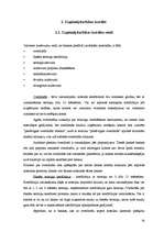 Diplomdarbs 'Uzņēmējdarbības kreditēšanas attīstība Latvijā un kredītrisku analīze', 26.