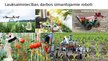 Prezentācija 'Mākslīgā intelekta tehnoloģiju izmantošana ilgtspējīgā lauksaimniecībā', 8.