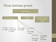 Referāts 'Tiesu sistēma Latvijā un notariāts', 53.