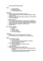 Konspekts 'Pirmā palīdzība ugunsgrēka gadījumā', 3.