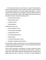 Konspekts 'Naudas plūsmas', 2.