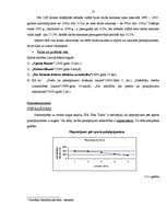 Biznesa plāns 'SIA "Star Track" biznesa plāns', 17.