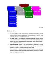 Biznesa plāns 'SIA "Star Track" biznesa plāns', 28.