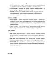 Biznesa plāns 'SIA "Star Track" biznesa plāns', 29.