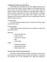 Biznesa plāns 'SIA "Star Track" biznesa plāns', 41.