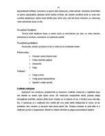 Biznesa plāns 'SIA "Star Track" biznesa plāns', 42.