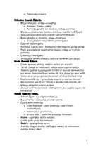 Konspekts 'Senā Ēģipte', 3.