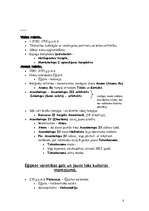 Konspekts 'Senā Ēģipte', 8.