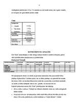 Referāts 'Mārketinga plāns', 9.