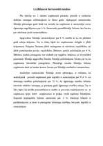 Referāts 'Uzņēmuma finansiālās darbības analīze', 2.