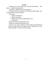 Referāts 'Теория вероятностей и шансы выиграть в рулетку', 4.