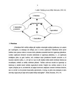 Diplomdarbs 'Uzņēmuma "Birzītes 6" vadīšanas procesa pilnveidošanas iespējas', 8.