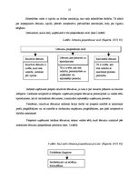 Diplomdarbs 'Uzņēmuma "Birzītes 6" vadīšanas procesa pilnveidošanas iespējas', 13.